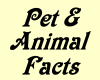 Pets & Animals Facts